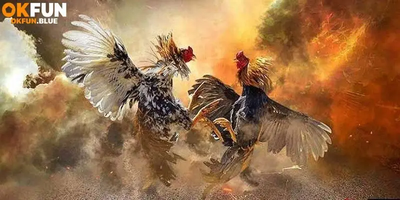 Tổng quan thông tin về đá gà Mộc Bài
