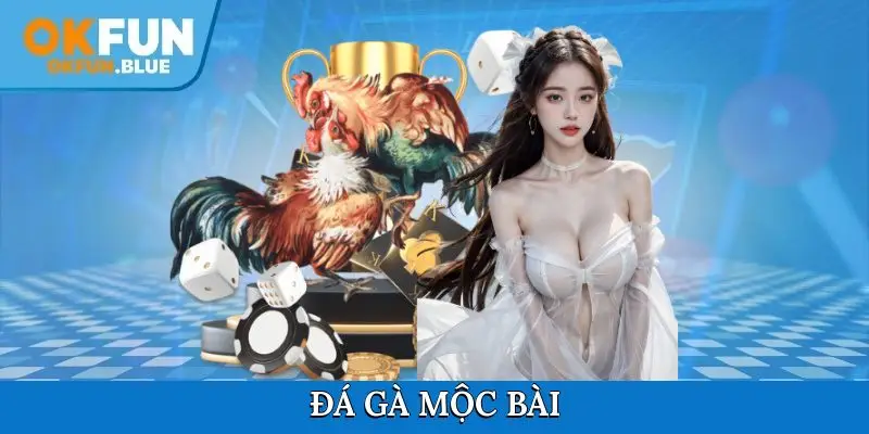 Đá gà Mộc Bài