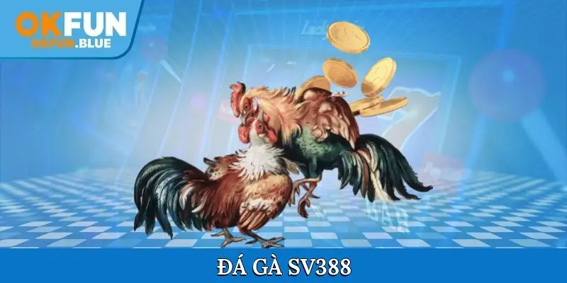Đá gà SV388