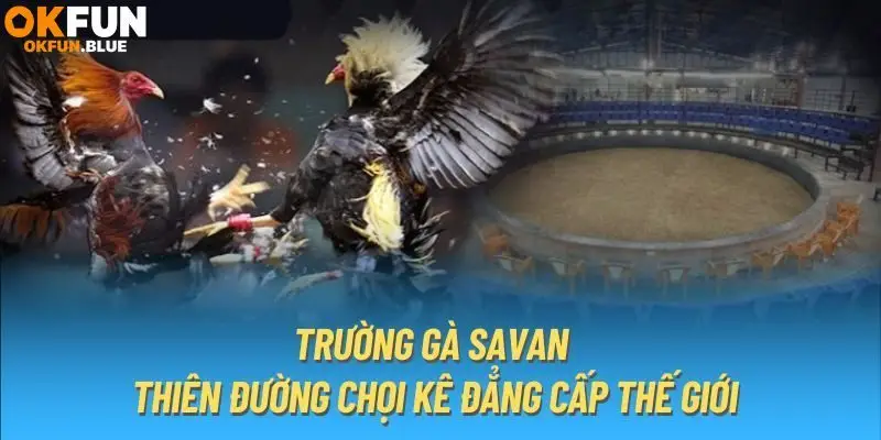 Giới thiệu thông tin chi tiết về trường gà Savan