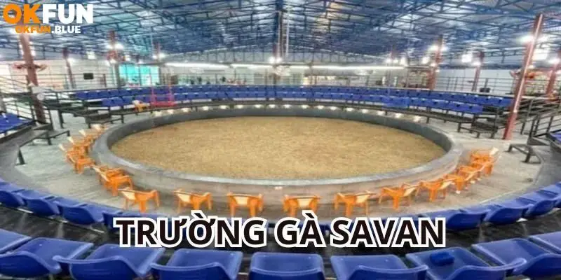 Hướng dẫn cách tham gia cá cược đá gà hiệu quả