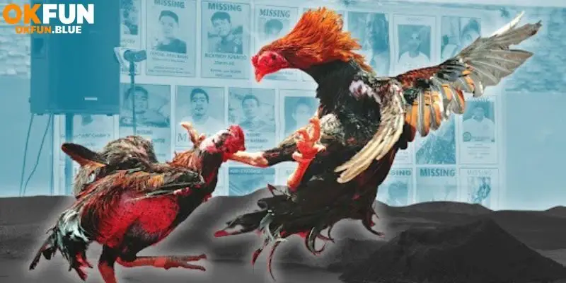 Trường đấu đá gà Savan và những ưu điểm nổi bật