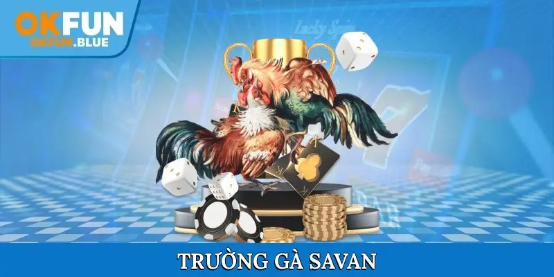 Trường gà Savan